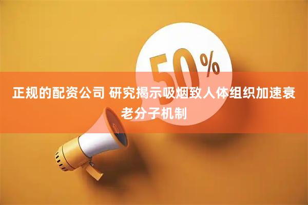 正规的配资公司 研究揭示吸烟致人体组织加速衰老分子机制
